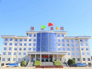 Longhua Technology Group Attends 2024 New Energy Hydrogen Production and Green Ammonia Green Alcohol Innovation Technology Summit and Green Electricity Green Hydrogen Integrated Coal Chemical Industry Development Conference